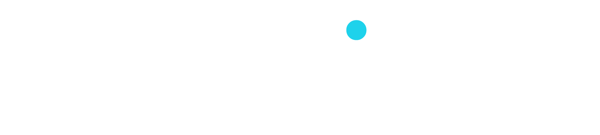 REV Fiber